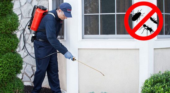Develi Bit İlaçlama böcek ilaçlama ve haşere kontrolü — ilaclama-tr.com